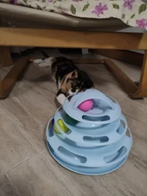Ball Cat-Toys Play Cat Intelligence Tower-Tracks-Disc Training Amusement-Plate