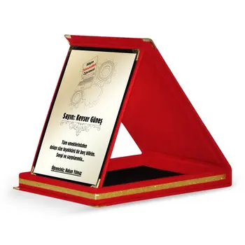 

Personalized Information Technology Teacher Red Plaque-2
