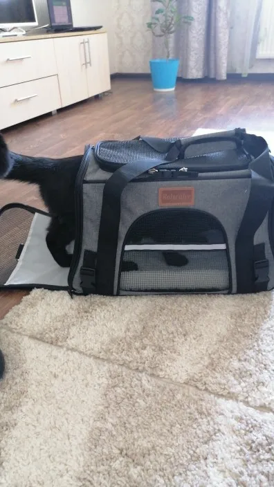 DogMEGA Luxurious Dog Travel Carrier | Airline Dog Carrier | Puppy Carrier photo review