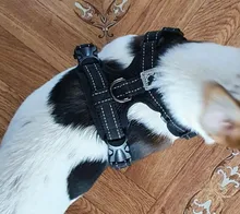 Puppy-Vest Harnesses Pet-Training-Product Reflective No-Pull-Mesh Dogs Adjustable 