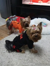 Jumpsuit Clothing Hoodies Jacket Pet-Dog-Coats Small Dogs Sport Apparel Winter Fashion