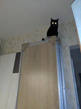 Minitiger-Interruptor táctil para luz de pared, estándar europeo, de lujo, de cristal blanco, 1 entrada y 1 vía