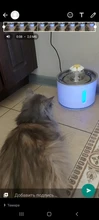 Drink-Bowl Dispenser Active Water-Fountain Cats Automatic CARBON-FILTER Dog Electric
