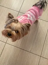 Traje para mascotas pequeñas y medianas, mono para cachorros, ideal para bulldog francés, chihuahua o pug