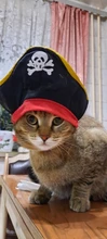 Funny Cat Costumes Pirate Suit Cat Clothes Kitty Kitten Corsair Halloween Costume Puppy