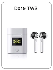 D019 TWS