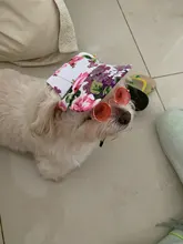 Dog-Sunscreen-Accessories Cap Baseball-Cap Canvas Small Outdoor Summer Hat Pet-Dog