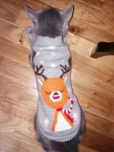 Cute Cat Sweater Costume Winter Warm Pet Clothes Cat Clothing for Cats Katten Kedi Giyim