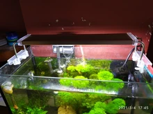 Led-Lighting Aquarium Chihiros Fish-Tank Aquatic-Plant Sunsun Ade Nicrew SMD 18W 220V