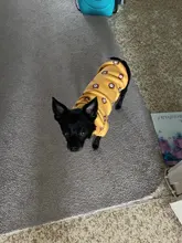 Warm Dog Sweatshirt Puppy-Clothes Dog-Costume Soft-Fleece Chihuahua Winter Yorkshire