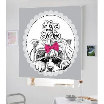

Blind Iroa Digital Pet 007! ROLLER BLINDS TRANSLUCENT! (100X170)