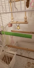 Toys Perch-Stand-Holder Bird-Supplies Platform-Accessories Chew-Toy Pet-Cage Grinding-Claw