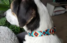 Collar de identificación de perro personalizado, nailon, placa de etiqueta grabado gratis para perros pequeños, medianos y grandes, Pitbull