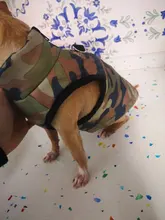 Ropa de invierno para mascotas, atuendo con chaleco cálido para perros pequeños, abrigo para perro, Chihuahua acolchado, a prueba de viento, 20
