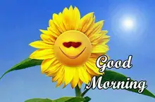 Micro aguja rodillo de Micro-agujas Dermaroller de pelo de titanio crecimiento de la barba tratamiento antipérdida de cabello adelgazamiento del cabello retroceso