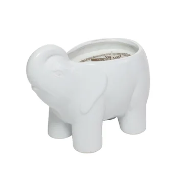 

Elephant White