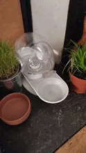 Dispensador de agua automático con forma de caracol para gatos, fuente para mascotas, tazón para beber grande, sin electricidad