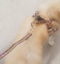 Harness Leash Chain Teddy Walking-Rope Collar Dog Small Medium Pet-Dog Classic Check