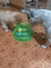 Torre de juguete para gato, torreón de tres niveles con pista de disco y pelota de entrenamiento, plato de diversión, triple, para inteligencia de mascotas