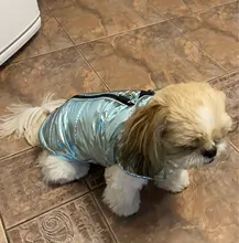 Jacket Coat Vest Pet-Dog Dogs Chihuahua Waterproof Winter Large for Big Autumn Warm Clothing-For-Dogs