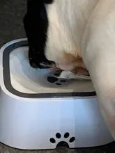 Cat Bowl Floating Drinking-Water-Dispenser Abs-Plastic Anti-Overflow Mouth