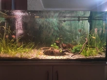 Led-Lamp Dimmer Fish-Tank-Light Aquarium Sunrise Sunset Marine Automatic Full-Spectrum