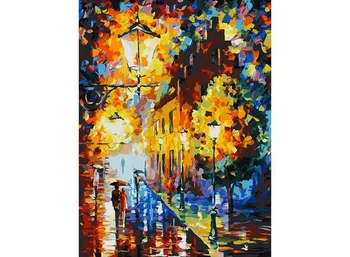 

Lights in the night, 30*40 cm picture by numbers on cardboard Snow White 3028-cs