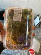 1 caja de hojas de flores prensadas reales, resina de margaritas secas, calcomanías de belleza para uñas, moldes de epoxi, embellecedores para fabricación de joyas