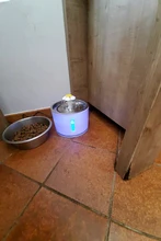 Water-Fountain Automatic Bowl Feeder Drinker FILTERS Led-Lighting Cats with 5-Pack USB