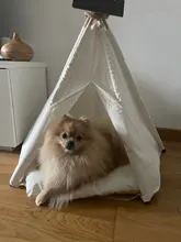 Tipi de Gato con cojín y pizarra para perros, carpa portátil para perros y casas de mascotas, tienda plegable de lona de madera para mascotas, cama para animales pequeños