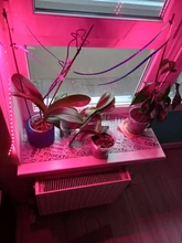 USB Phytolamps for Plants 5V LED Grow Light Strip 2835 Chip 1m 2m 3m LED Phyto Tape 