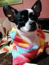 Soft Dog Pajams Fleece Dog Clothing For Dogs Jumpsuits Coat Warm Pet Dog Clothes For