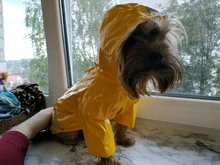 Rain-Coat Hoody Puppy Waterproof-Jackets Dogs Wholesale Outdoor Summer Pet for Cats Apparel
