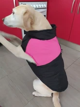 Chaleco impermeable para perros grandes y pequeños, abrigo cálido de invierno para cachorros, ropa para mascotas, 4XL, 5XL, nuevo