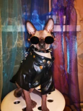 Pet Clothing Costumes Coat Kitten-Outfits Yorkshire Puppy Winter Warm Autumn for Chihuahua