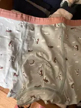 2 uds lote de 2 a 10 años de los niños de la ropa interior del boxeador diseño de dibujos animados de los niños de algodón, bragas, pantalones cortos de la ropa de los niños