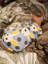 Ropa de gato para gatos, disfraz de gato de invierno, Sudadera con capucha, suéter, ropa de cachorro mascota, productos para gatos