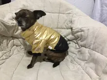 Coat Puppy Clothing Jacket Puppy-French-Bulldog Dogs Waterproof Chihuahua Winter Vest