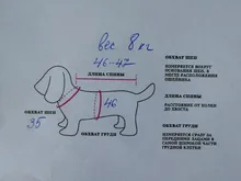 Mono impermeable para perro mascota, ropa impermeable para exteriores, mono con capucha para perros pequeños y grandes, capa impermeable, Bulldog francés