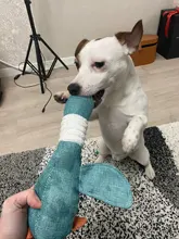 Dog-Toys Puppy Squeak Chew-Cleaning Plush Pet-Resistance Cat Cartoon Cloth Linen 33cm