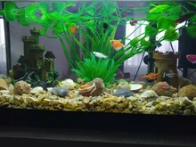Aquarium Decorative Grass-Plant Fish-Tank Simulation PVC Environmental-Protection-Materials