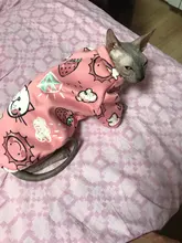 Cartoon Cat Hoodie Sweater Autumn Winter Pet Cat Clothes for Cats Katten Kedi Pullovers