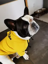 Dog Hoodies Jacket Costume Coat French Bulldog Chihuahua Winter for Pets-Clothing