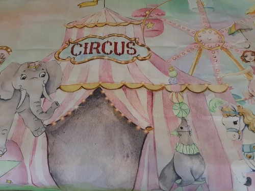 circus-baby kids portrait backdrops circus birthday baby shower