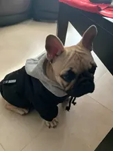 Jacket French Bulldog Dog Winter SUPREPET Coat Pet-Dog Dogs Large Cotton for Warm Perro
