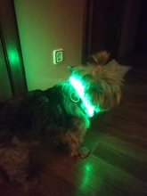 Collar LED de nailon para mascotas, fluorescente y luminoso, suministros para mascotas, correa de seguridad nocturna intermitente de seguridad que brilla en la oscuridad