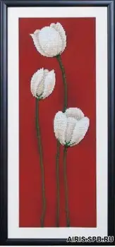 

Bf-001 set for embroidery with beads magic canvas