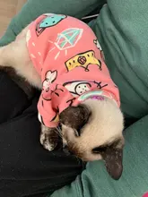 Ropa de gato para gatos, disfraz de gato de invierno, Sudadera con capucha, suéter, ropa de cachorro mascota, productos para gatos