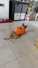 Chaleco salvavidas para perro, chaqueta salvavidas, ropa de baño para perros, traje de baño para mascotas, forma de tiburón