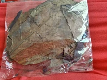 Betta Fish Shrimp Aquarium Almond-Leaves Natural Indian 10pcs Habitat Terminalia Kill-Bacteria